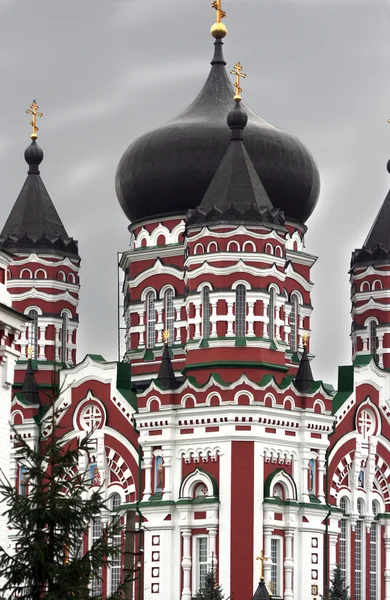 Cathédrale de Saint-Pantaleon — Photo