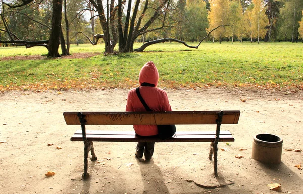 Žena v podzimní park. Stock Snímky