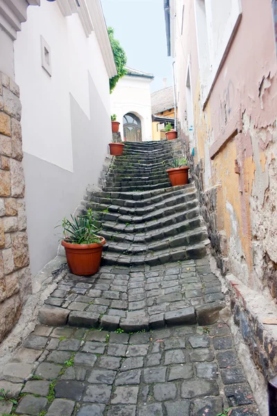 Szentendre — Stock Photo, Image