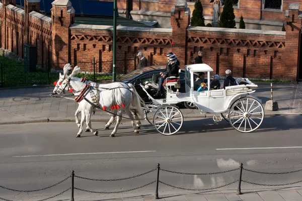Paarden Krakau Polen — Stockfoto