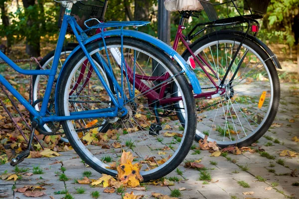 Duas Bicicletas Velhas Vermelha Azul Pararam Close Roda Traseira Duas — Fotografia de Stock