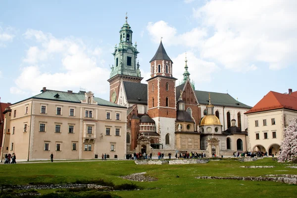 Castillo de Wawel — Foto de Stock