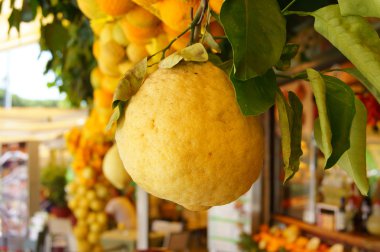 büyük limon ve diğer narenciye