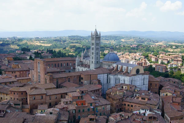 Bovenaanzicht van de kathedraal van siena — Stockfoto