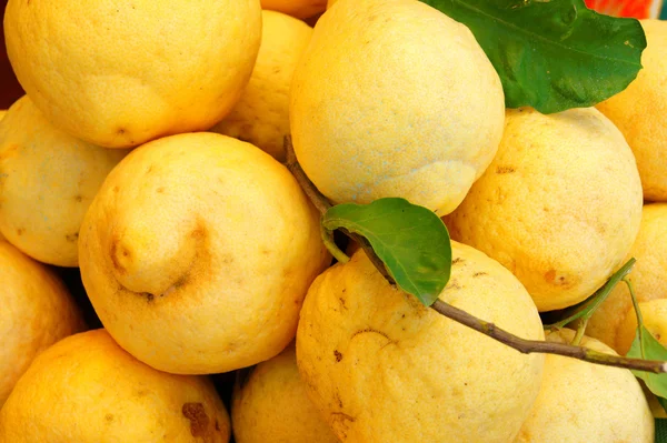 Large lemons — Stock Photo, Image