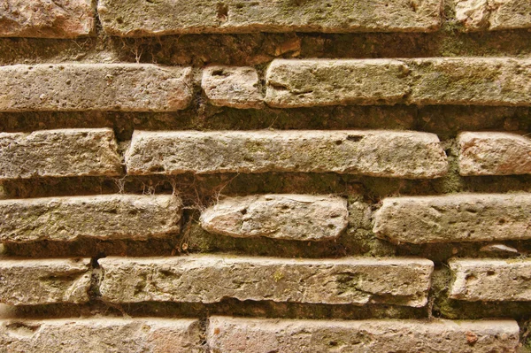 Brick wall — Stock Photo, Image