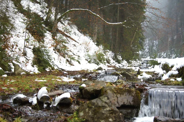 Karpaterna — Stockfoto