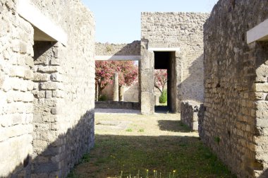 pompeii, avlu