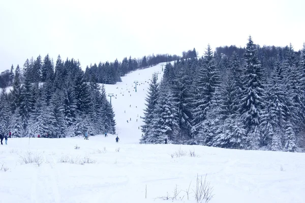 Carpathians — Stock Photo, Image