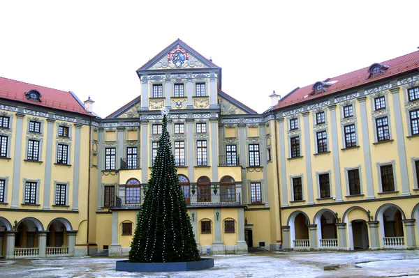 Nesvizh Castle — Stock Photo, Image