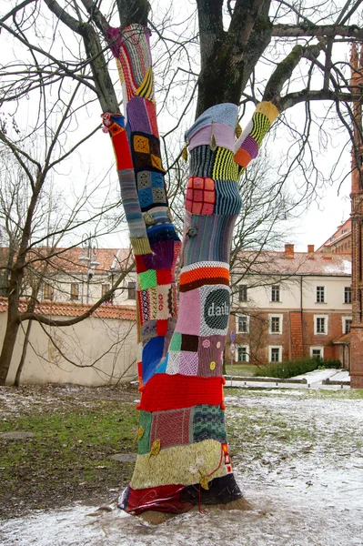 Tree in clothes