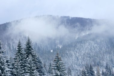 Karpatlar