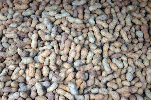 Cacahuetes — Foto de Stock