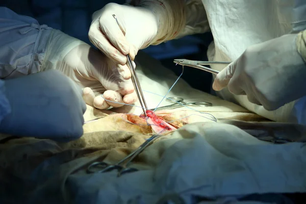 Surgical operation — Stock Photo, Image