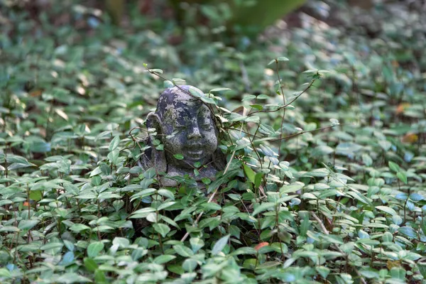 Küçük bir Buda heykeli. Yoğun, yeşil, yer altı sarmaşıklarının arasında.
