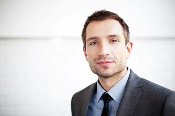 Retrato de hombre de negocios guapo —  Fotos de Stock