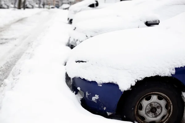 降雪 — 图库照片