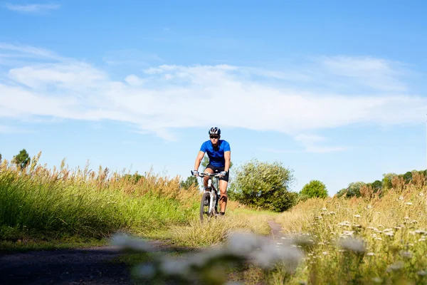 Mountain bike cyclist on country road. — Stock Photo, Image