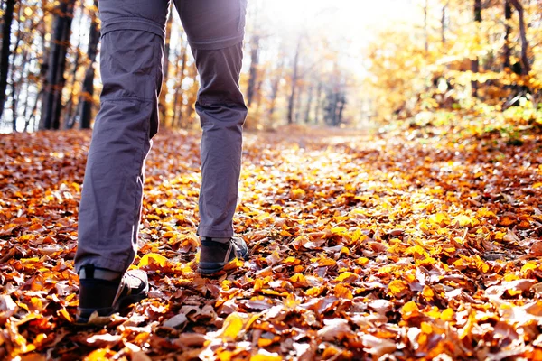 Herfst wandelen — Stockfoto