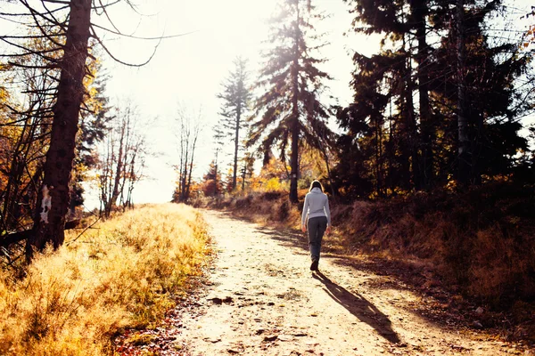 Hiking during autumn — Stock Photo, Image