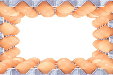 Beyaz arkaplanda yumurtalar