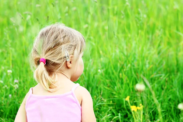 Beautiful little on the nature — Stock Photo, Image