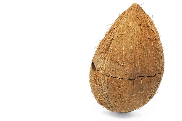 Coconut — Stock Photo, Image