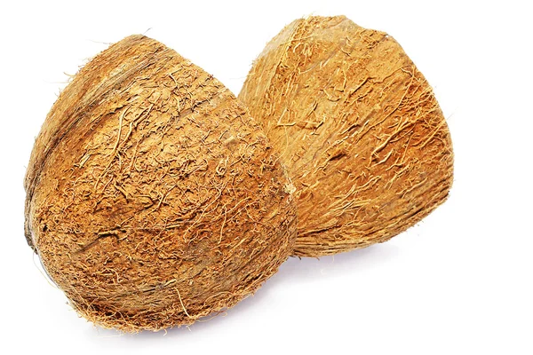 Coconut — Stock Photo, Image