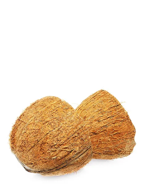 Coconut — Stock Photo, Image