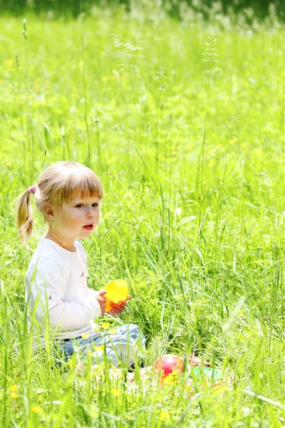 Beautiful little on the nature — Stock Photo, Image