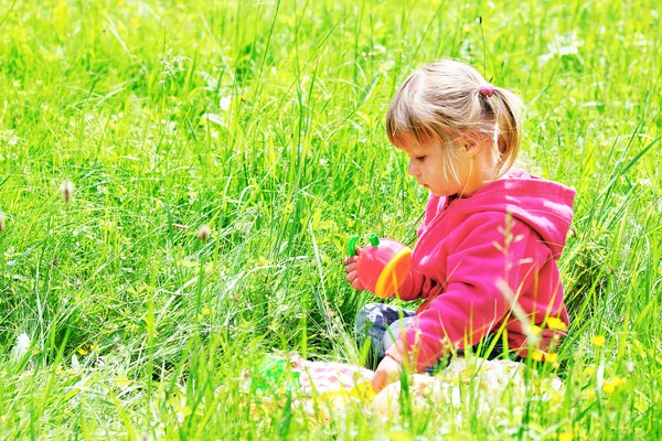 Beautiful little on the nature — Stock Photo, Image