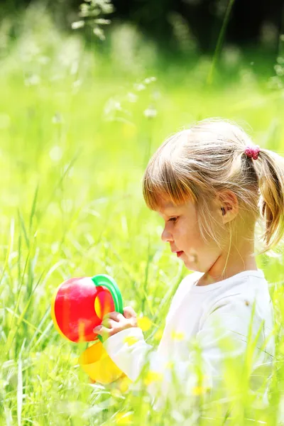 Beautiful little on the nature — Stock Photo, Image