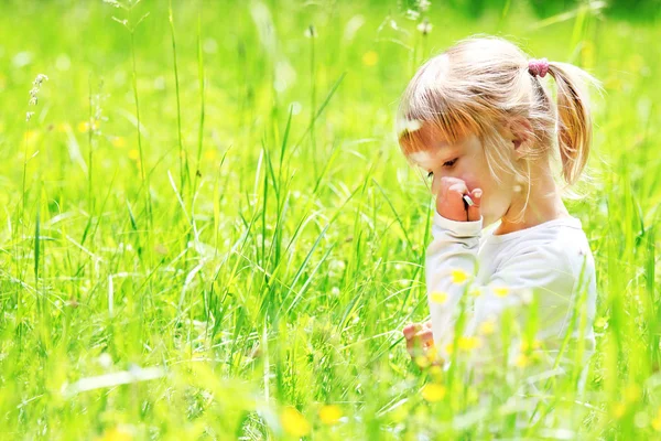 Beautiful little on the nature — Stock Photo, Image