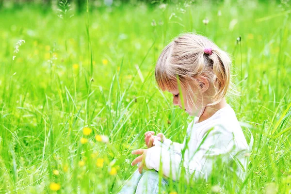 Beautiful little on the nature — Stock Photo, Image