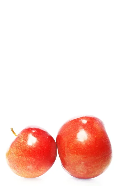 Rött äpple — Stockfoto