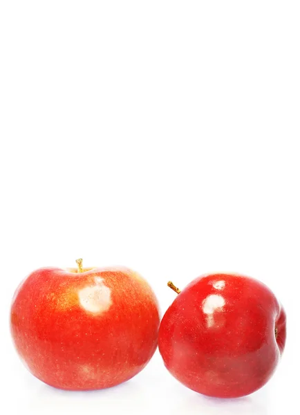 Rött äpple — Stockfoto