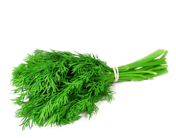 Dill isolerade — Stockfoto