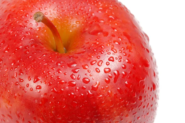 Manzana roja — Foto de Stock