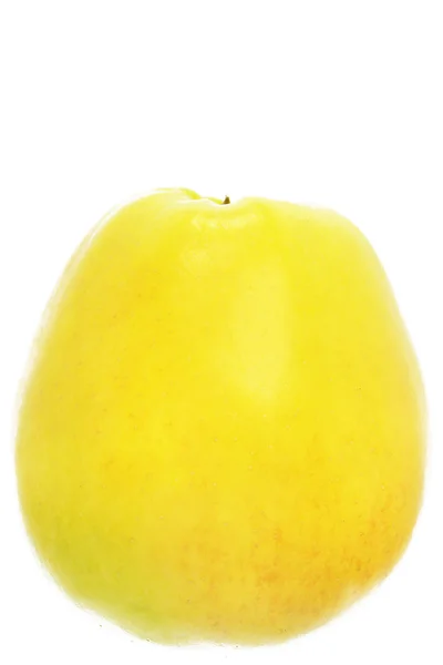 Gult äpple — Stockfoto