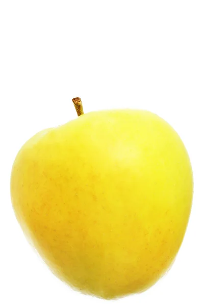 Apple: Golden Delicious — Stockfoto