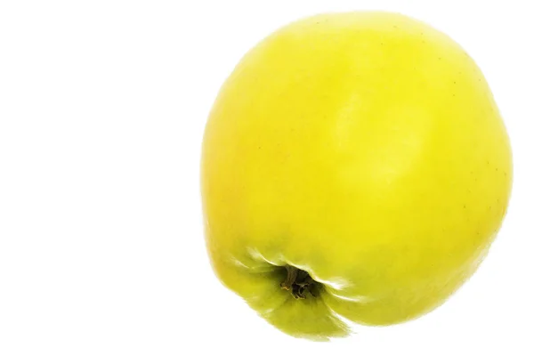 Manzana: Golden Delicious — Foto de Stock