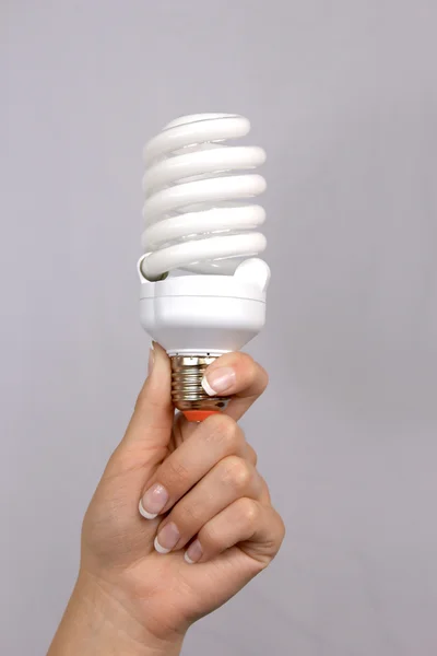 Light bulb in hand — Stock Photo, Image