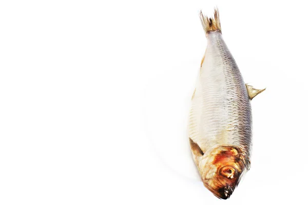Рыбная селедка — стоковое фото
