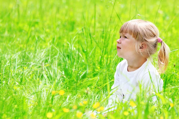 Uma linda menina na natureza — Fotografia de Stock