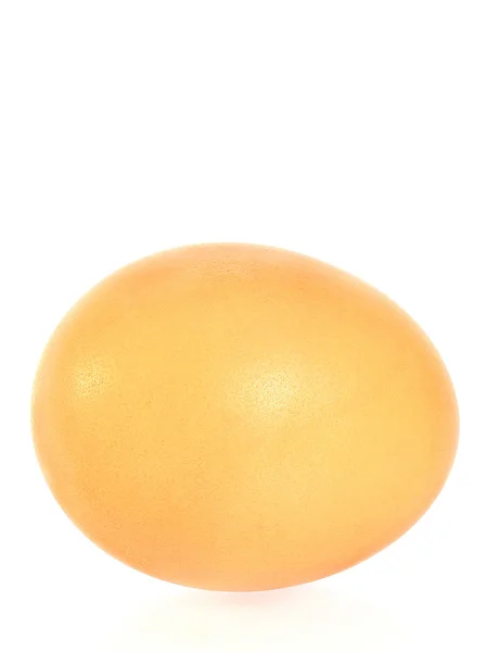 Állati tojás — Stock Fotó