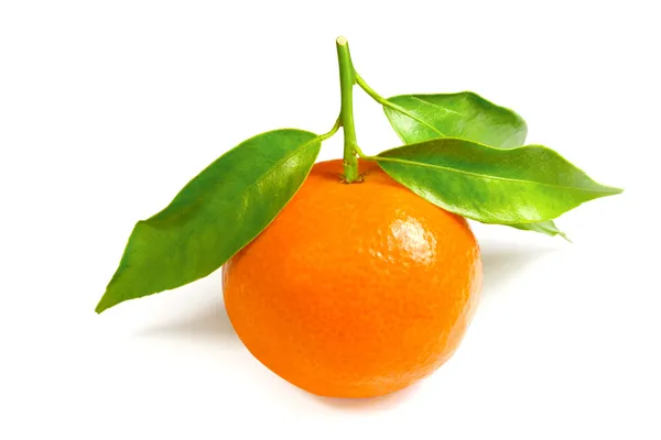 Orange Isolated — Stock Photo, Image