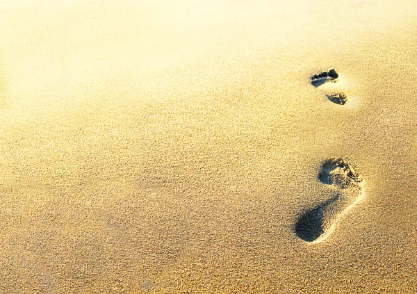 Empreintes de pas dans le sable — Photo