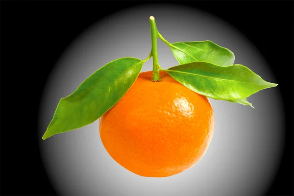 Mandarina aislada — Foto de Stock