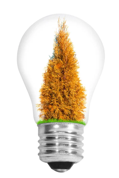 Lámpara tiene idea — Foto de Stock