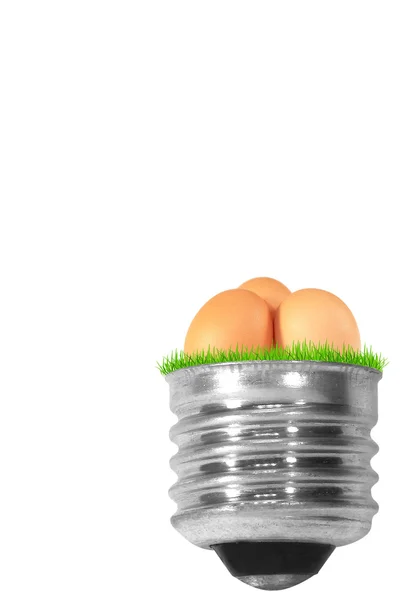 계란과 전구 — 스톡 사진